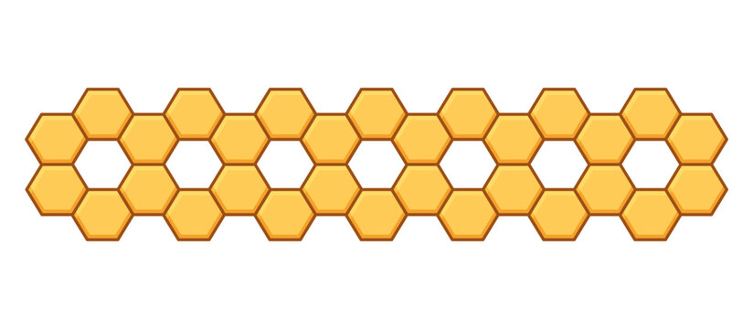 honeycomb with honey hexagon divider border illustration vector