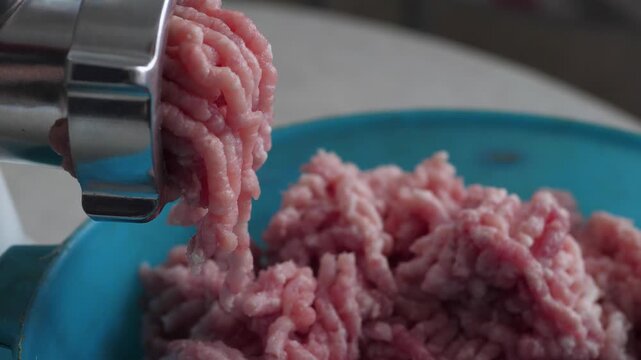 Electric meat grinder processing fresh raw meat into minced meat. The forcemeat falls into a blue bowl during the home cooking process