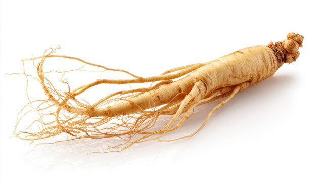 Whole ginseng root with fine root hairs isolated on white background, commonly used in herbal medicine and wellness supplements.