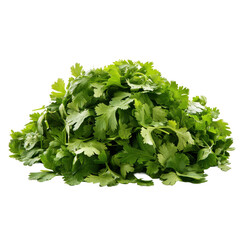 Fototapeta premium A pile of fresh green cilantro leaves. The leaves are piled on top of each other, creating a mound. The cilantro is fresh and vibrant, with a strong aroma. Concept of abundance and freshness
