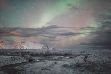 Fototapeta premium Northern lights - Norway - February arctic night sky with colorful aurora borealis 