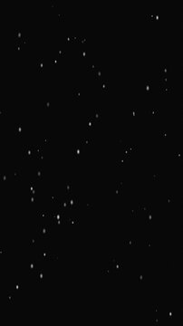 Falling Snowflakes Gentle Winter Night Sky Footage Loop