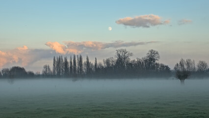 Fototapeta premium Misty meadow with bare willow and poplar trees under a colourful cloudy evening sky with full moon in Oude Kalevallei nature reserve, Vinderhoute, Belgium 