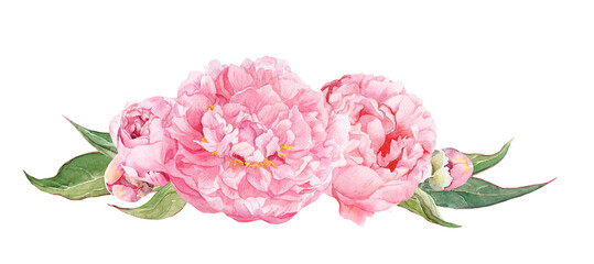 Watercolor peony border with lush pink blossoms and buds isolated on white background. Romantic floral decoration for invitations, wedding stationery, greeting cards, posters, labels, feminine brand © zzorik