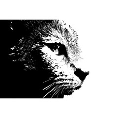 猫の顔　シルエット　スプレーアート風