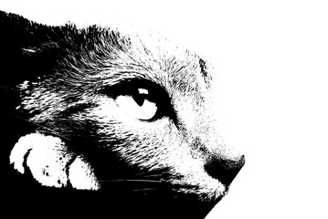 猫の顔　シルエット　スプレーアート風