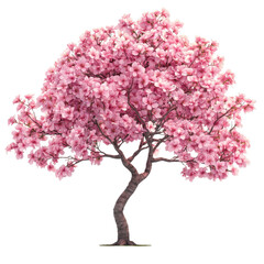 Obraz premium Vibrant Blooming Tree with Pink Flowers Black Background