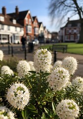 Town Square Bloom: Spring Light in Suburbia
