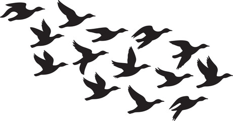 flying canadian geese Canada Goose © MstHazara