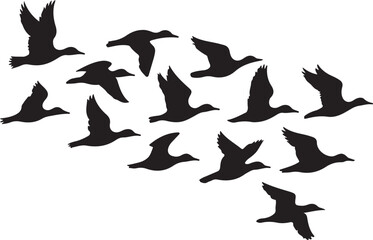 flying canadian geese Canada Goose © MstHazara