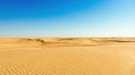 Vast expanse of golden sand dunes under a clear blue sky in a desert landscape.