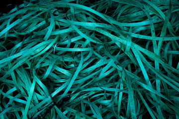 Un tas de fil plastique en boule retrouvé sur une plage en France © shocky