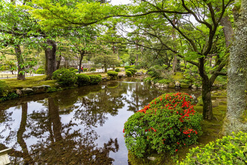Charming Japanese garden