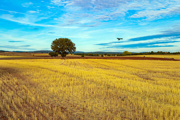 The autumn sky. Spain.