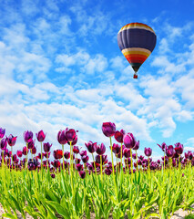 Huge hot air balloon