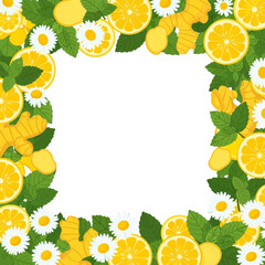 Square border frame of fresh lemon slices ginger mint and chamomile flowers