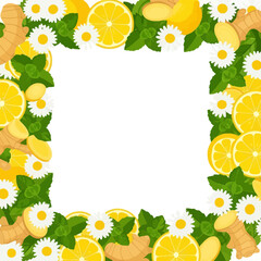 Obraz premium Square border frame of fresh lemon slices ginger mint and chamomile flowers
