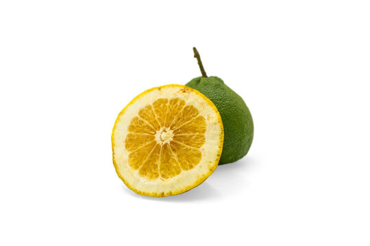Refreshing Citrus Fruit Slice with Whole Green Citrus on Transparent Background: A Juicy Source of Vitamin C from Natural Fruits.