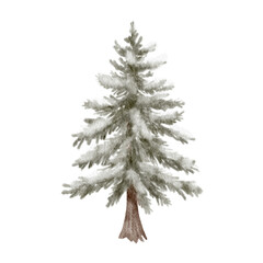 Fototapeta premium Watercolor snowy fir tree illustration. Hand painted winter evergreen for forest design, woodland decor, christmas scenes and nature illustrations.