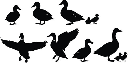 Duck and goose silhouettes set showing adult and baby waterfowl in standing and flying poses isolated on white background © Moslama