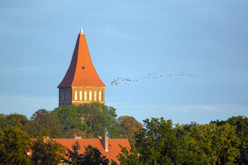 Krajobraz wysoka murowana katedra na tle nieba z przelatującym stadem ptaków w kluczu. Polska. © Monika