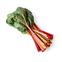 Neat bundle of fresh rainbow chard tied with natural twine