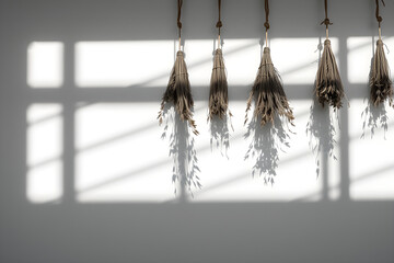 Geometric shadows of suspended drying herbs on white wall