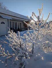 icicles on the roof
