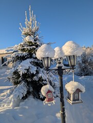 winter in the  north of Sweden 