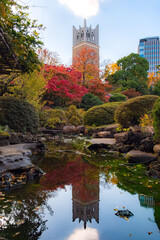 東京都新宿区 早稲田大学・大隈庭園の紅葉と池越しに望む大隈講堂