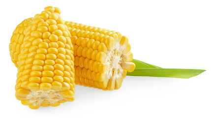 Fresh corn cob isolated on white background. Ears of Sweet corn with green leaf close up. Package design element