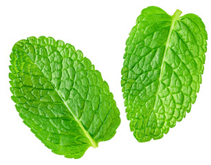 Flying Mint leaves isolated. Fresh Mentha, melissa leaf&nbsp;on white background. Mint  leaves levitating