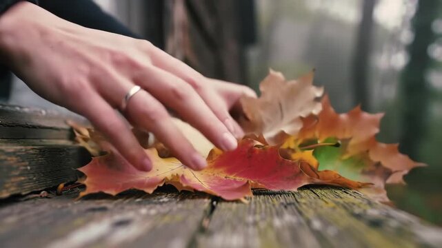A close-up view of a hand gently picking colorful fall leaves, conveying nostalgia and a connection with nature.