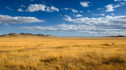 Fototapeta premium Vast Golden Grassland Under a Dramatic Blue Sky with Clouds.