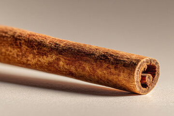 Single cinnamon stick on neutral surface with room for text for culinary branding