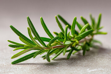 Single rosemary sprig on neutral surface with negative space for culinary design