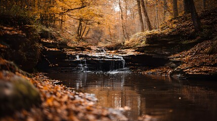 Autumn Forest Stream Waterfall with Golden Leaves and Reflections.