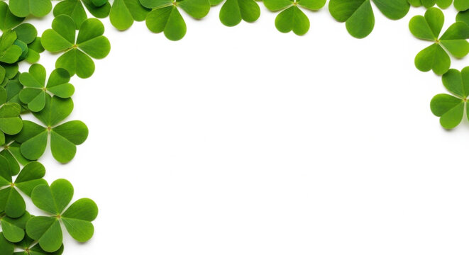 Clover Leaves Frame