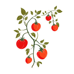 Flat 2D minimalist illustration of a Tomato Vine, modern vector design with white background.