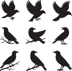 Obraz premium Songbird silhouette icon set.Vector illustration.