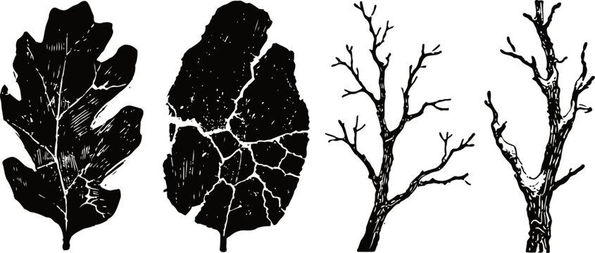 black silhouette set of oak leaves and bare tree branches isolated on white background