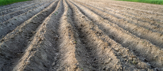 Country landscape with fertile cultivated field © AlexGo