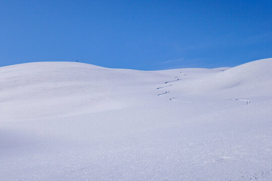 Traccia di una discesa con gli sci in neve fresca
