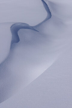 Neve
