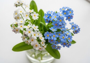 A delicate bouquet of white daisies and blue grape hyacinths in a clear vase