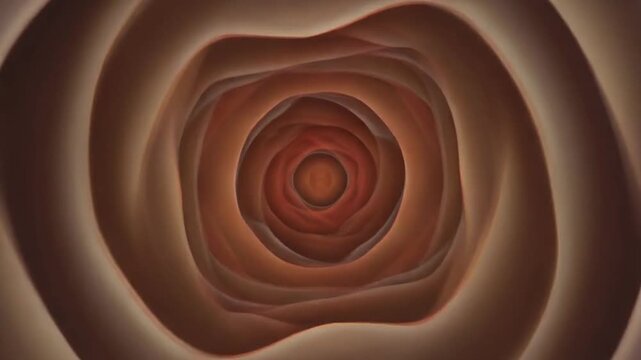 Abstract Tunnel Vortex Swirl Organic Texture Medical Concept.