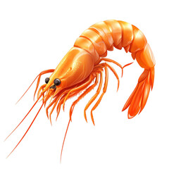 Detailed illustration of an orange shrimp with long antennae and multiple legs, isolated on a white background