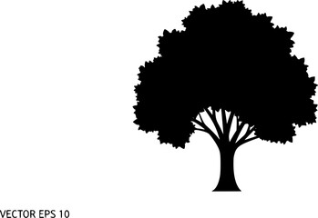 Fototapeta premium Tree silhouette icon collection, forest and pine tree vector set, nature foliage design bundle, simple black isolated tree shapes