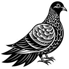 vector illustration of a dove