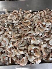 Fresh shrimps at the fish market in Mexico 